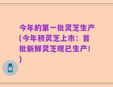 今年的第一批灵芝生产(今年初灵芝上市：首批新鲜灵芝现已生产！)