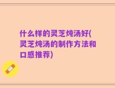 什么样的灵芝炖汤好(灵芝炖汤的制作方法和口感推荐)