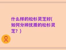 什么样的松杉灵芝好(如何分辨优质的松杉灵芝？)