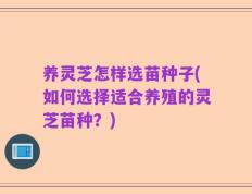 养灵芝怎样选苗种子(如何选择适合养殖的灵芝苗种？)
