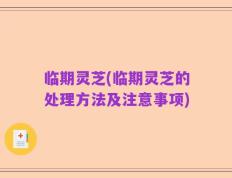 临期灵芝(临期灵芝的处理方法及注意事项)