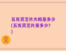 五克灵芝片大概是多少(五克灵芝片是多少？)