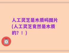 人工灵芝是木质吗图片(人工灵芝竟然是木质的？！)