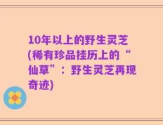 10年以上的野生灵芝(稀有珍品挂历上的“仙草”：野生灵芝再现奇迹)