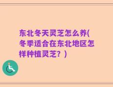东北冬天灵芝怎么养(冬季适合在东北地区怎样种植灵芝？)