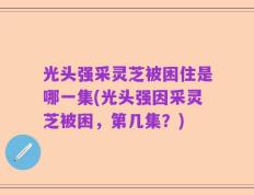 光头强采灵芝被困住是哪一集(光头强因采灵芝被困，第几集？)