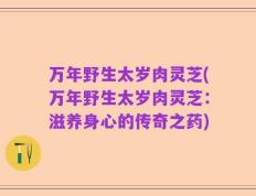 万年野生太岁肉灵芝(万年野生太岁肉灵芝：滋养身心的传奇之药)
