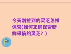 今天刚挖到的灵芝怎样保管(如何正确保管新鲜采摘的灵芝？)