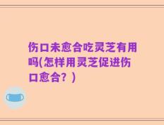 伤口未愈合吃灵芝有用吗(怎样用灵芝促进伤口愈合？)