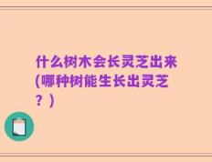 什么树木会长灵芝出来(哪种树能生长出灵芝？)