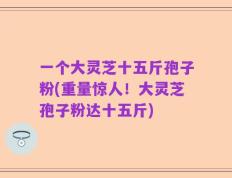 一个大灵芝十五斤孢子粉(重量惊人！大灵芝孢子粉达十五斤)