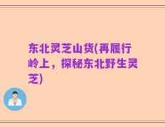 东北灵芝山货(再履行岭上，探秘东北野生灵芝)