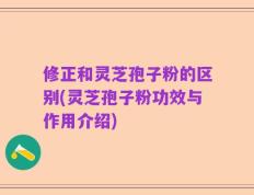 修正和灵芝孢子粉的区别(灵芝孢子粉功效与作用介绍)