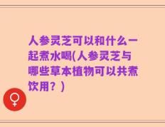 人参灵芝可以和什么一起煮水喝(人参灵芝与哪些草本植物可以共煮饮用？)
