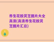 养生花胶灵芝图片大全高清(高清养生花胶灵芝图片汇总)