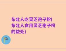 东北人吃灵芝孢子粉(东北人食用灵芝孢子粉的益处)