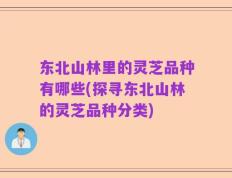 东北山林里的灵芝品种有哪些(探寻东北山林的灵芝品种分类)