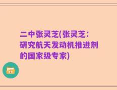 二中张灵芝(张灵芝：研究航天发动机推进剂的国家级专家)