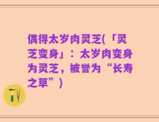 偶得太岁肉灵芝(「灵芝变身」：太岁肉变身为灵芝，被誉为“长寿之草”)