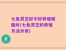 七色灵芝好不好养殖呢图片(七色灵芝的养殖方法分享)