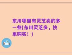 东川哪里有灵芝卖的多一些(东川灵芝多，快来购买！)
