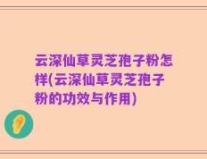 云深仙草灵芝孢子粉怎样(云深仙草灵芝孢子粉的功效与作用)
