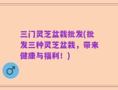 三门灵芝盆栽批发(批发三种灵芝盆栽，带来健康与福利！)