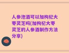 人参泡酒可以加枸杞大枣灵芝吗(加枸杞大枣灵芝的人参酒制作方法分享)