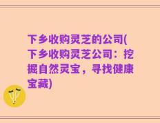 下乡收购灵芝的公司(下乡收购灵芝公司：挖掘自然灵宝，寻找健康宝藏)