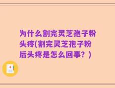 为什么割完灵芝孢子粉头疼(割完灵芝孢子粉后头疼是怎么回事？)