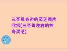 三圣母身边的灵芝图片欣赏(三圣母左右的神奇灵芝)