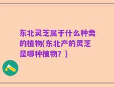 东北灵芝属于什么种类的植物(东北产的灵芝是哪种植物？)