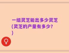 一组灵芝能出多少灵芝(灵芝的产量有多少？)