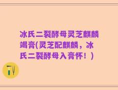 冰氏二裂酵母灵芝麒麟竭膏(灵芝配麒麟，冰氏二裂酵母入膏怀！)
