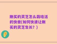 刚买的灵芝怎么栽培活的快些(如何快速让刚买的灵芝生长？)