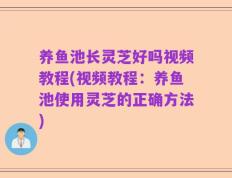 养鱼池长灵芝好吗视频教程(视频教程：养鱼池使用灵芝的正确方法)