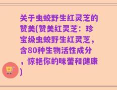 关于虫蛟野生红灵芝的赞美(赞美红灵芝：珍宝级虫蛟野生红灵芝，含80种生物活性成分，惊艳你的味蕾和健康)