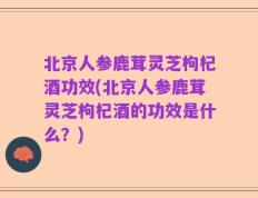 北京人参鹿茸灵芝枸杞酒功效(北京人参鹿茸灵芝枸杞酒的功效是什么？)