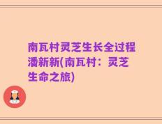 南瓦村灵芝生长全过程潘新新(南瓦村：灵芝生命之旅)