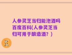 人参灵芝当归能泡酒吗百度百科(人参灵芝当归可用于酿造酒？)