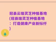 冠县云瑞灵芝种植基地(冠县瑞灵芝种植基地：打造健康产业新标杆)