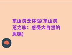 东山灵芝体验(东山灵芝之旅：感受大自然的恩赐)