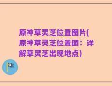 原神草灵芝位置图片(原神草灵芝位置图：详解草灵芝出现地点)