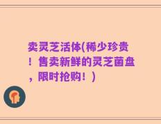 卖灵芝活体(稀少珍贵！售卖新鲜的灵芝菌盘，限时抢购！)