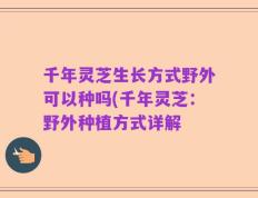 千年灵芝生长方式野外可以种吗(千年灵芝：野外种植方式详解