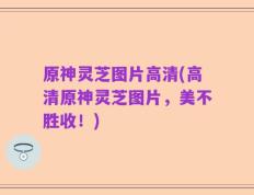 原神灵芝图片高清(高清原神灵芝图片，美不胜收！)