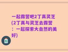 一起露营吧2丁真灵芝(2丁真与灵芝去露营：一起探索大自然的美好)