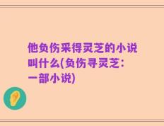他负伤采得灵芝的小说叫什么(负伤寻灵芝：一部小说)