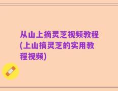 从山上摘灵芝视频教程(上山摘灵芝的实用教程视频)
