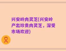 兴安岭肉灵芝(兴安岭产出珍贵肉灵芝，深受市场欢迎)